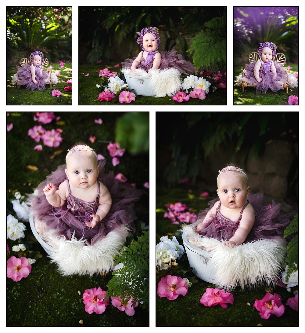 Purple Tutu de monde dress in Camellia Gardens